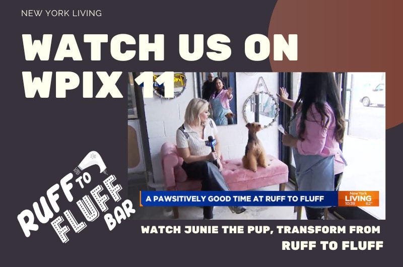 pix11 ruff to fluff